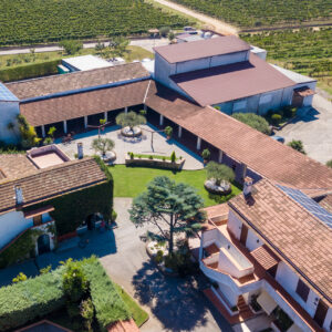 Cena con abbinamento vini a Villa Matilde Avallone